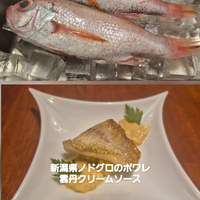 画像1167