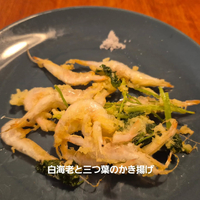 画像1231