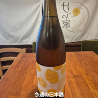 画像1279