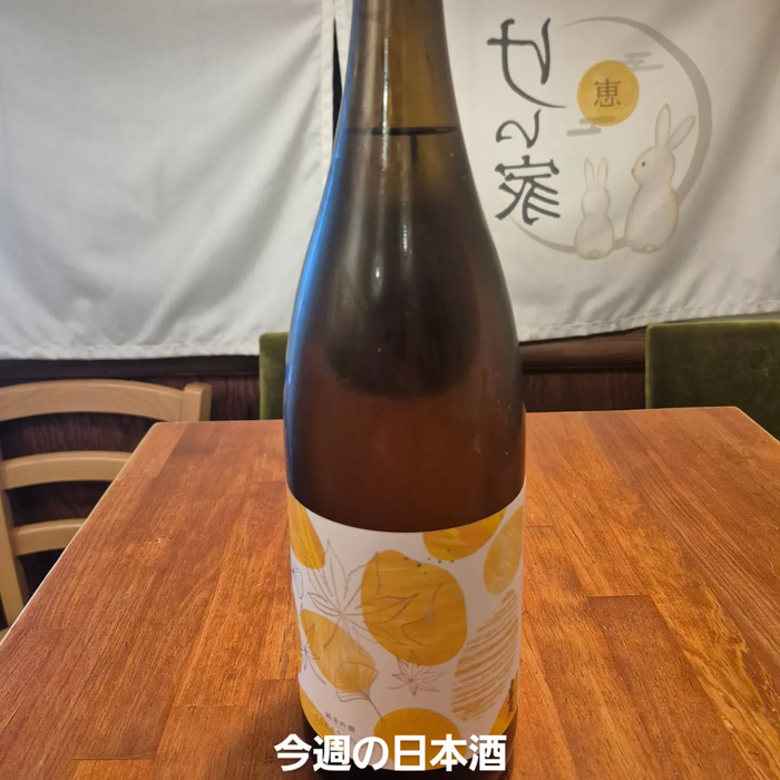 画像1279