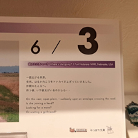 画像293
