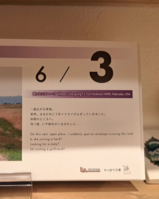 画像293