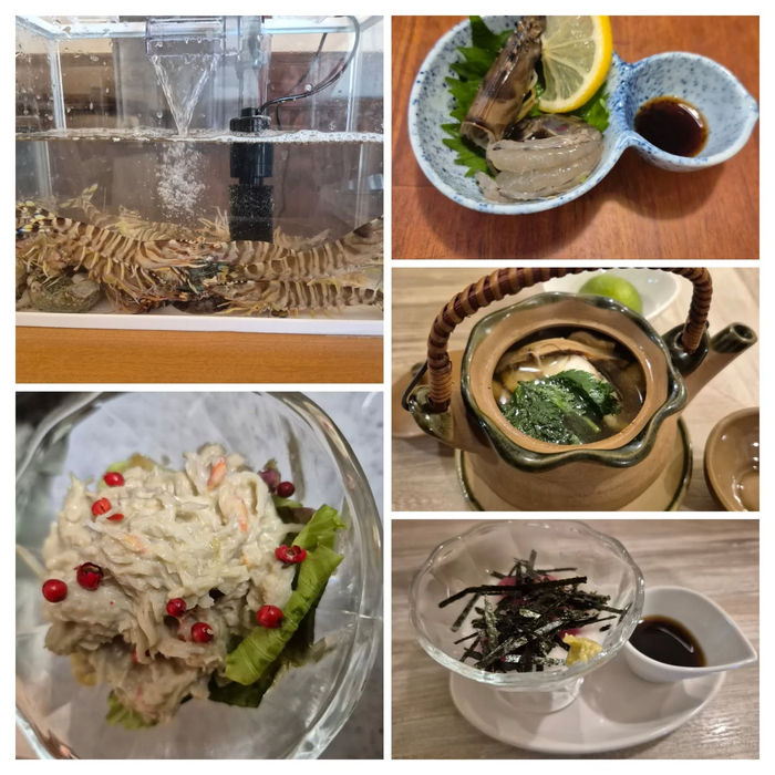 画像487