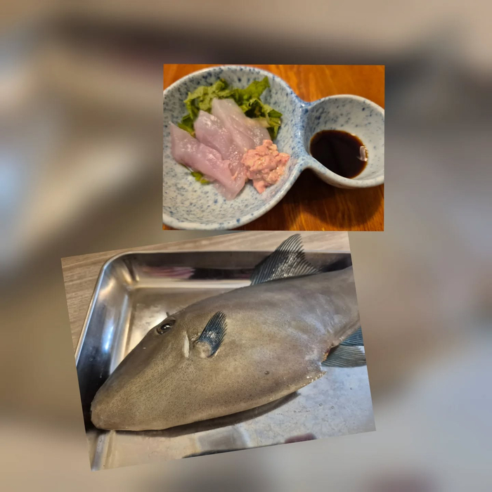 画像864