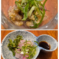 画像884